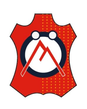 Süet